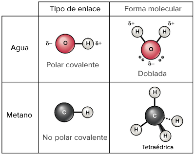 Enllaç covalent